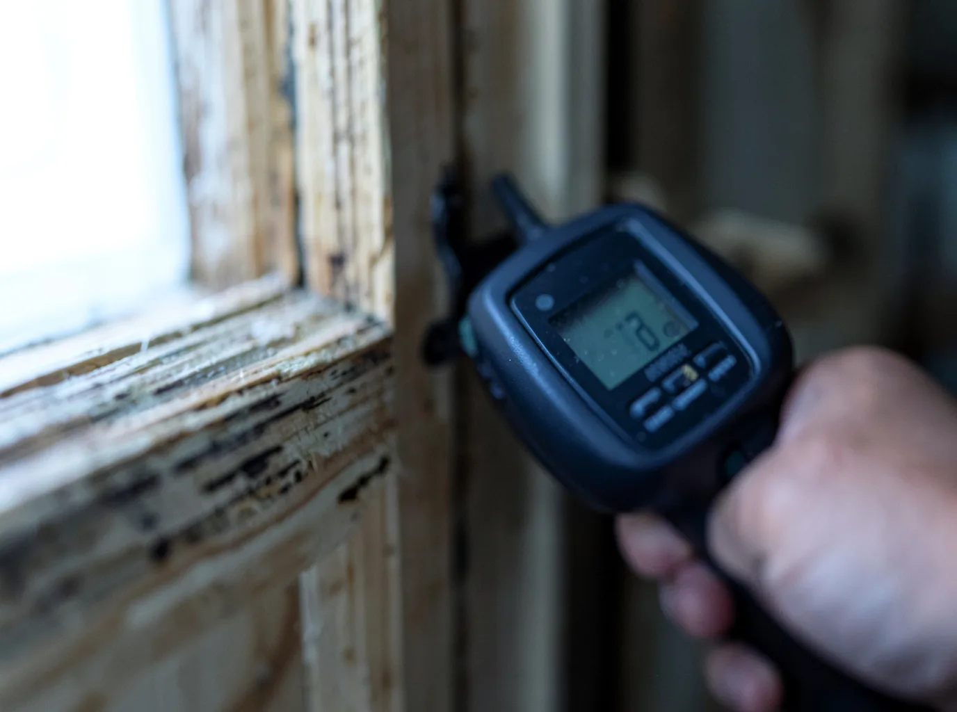Commercial Water Damage Restoration in South Walpole, MA